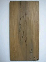 藏品(肖楠)的圖片